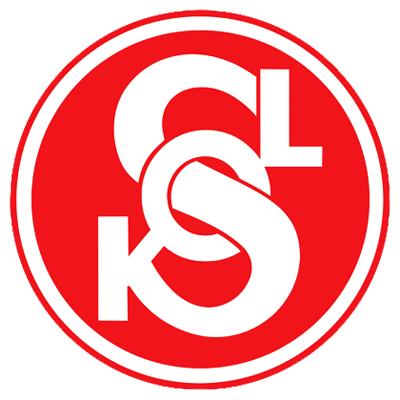 Logo NEKA